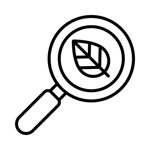 línea base