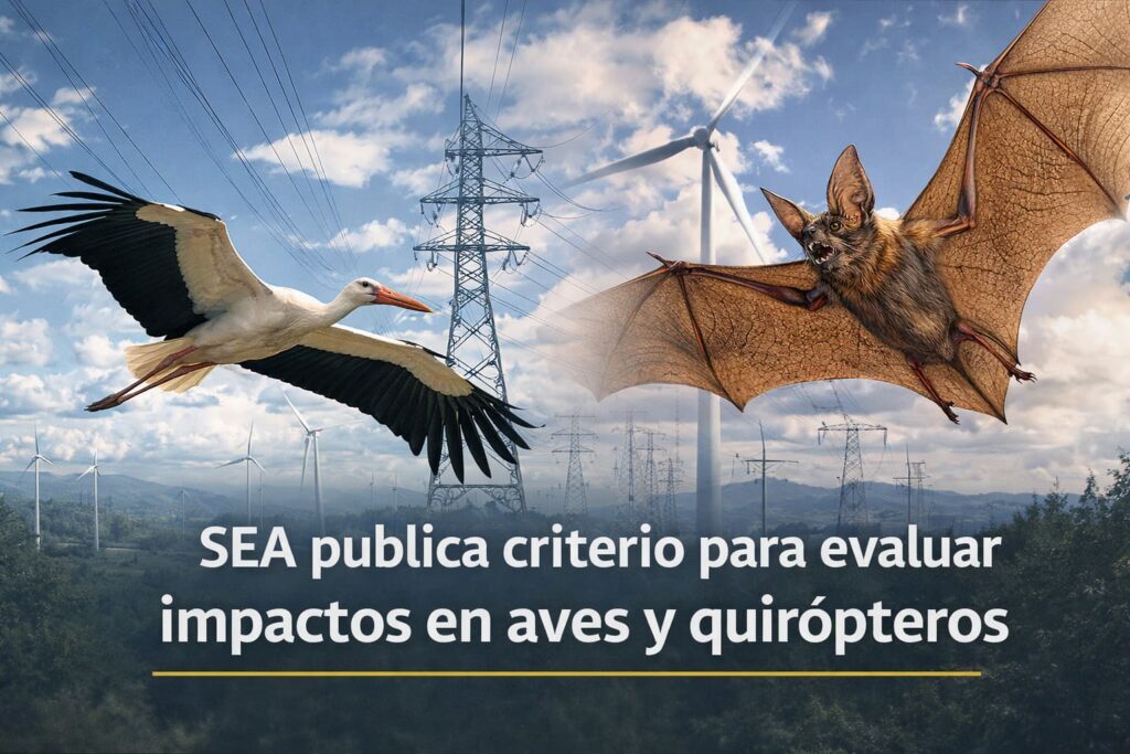 impacto ambiental en aves y quirópteros